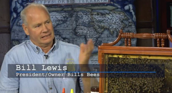 Bill Lewis Talking Points