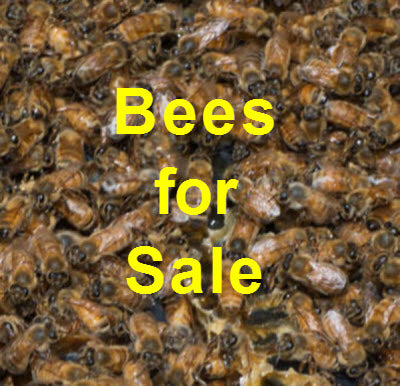 What Do You Give A Beekeeper?