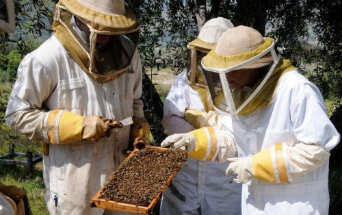 Bill's Bees Hosts LACBA Beekeeping Class 101