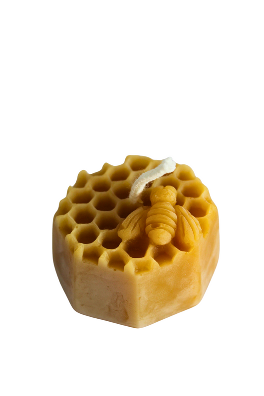 Beeswax Bee on Honeycomb