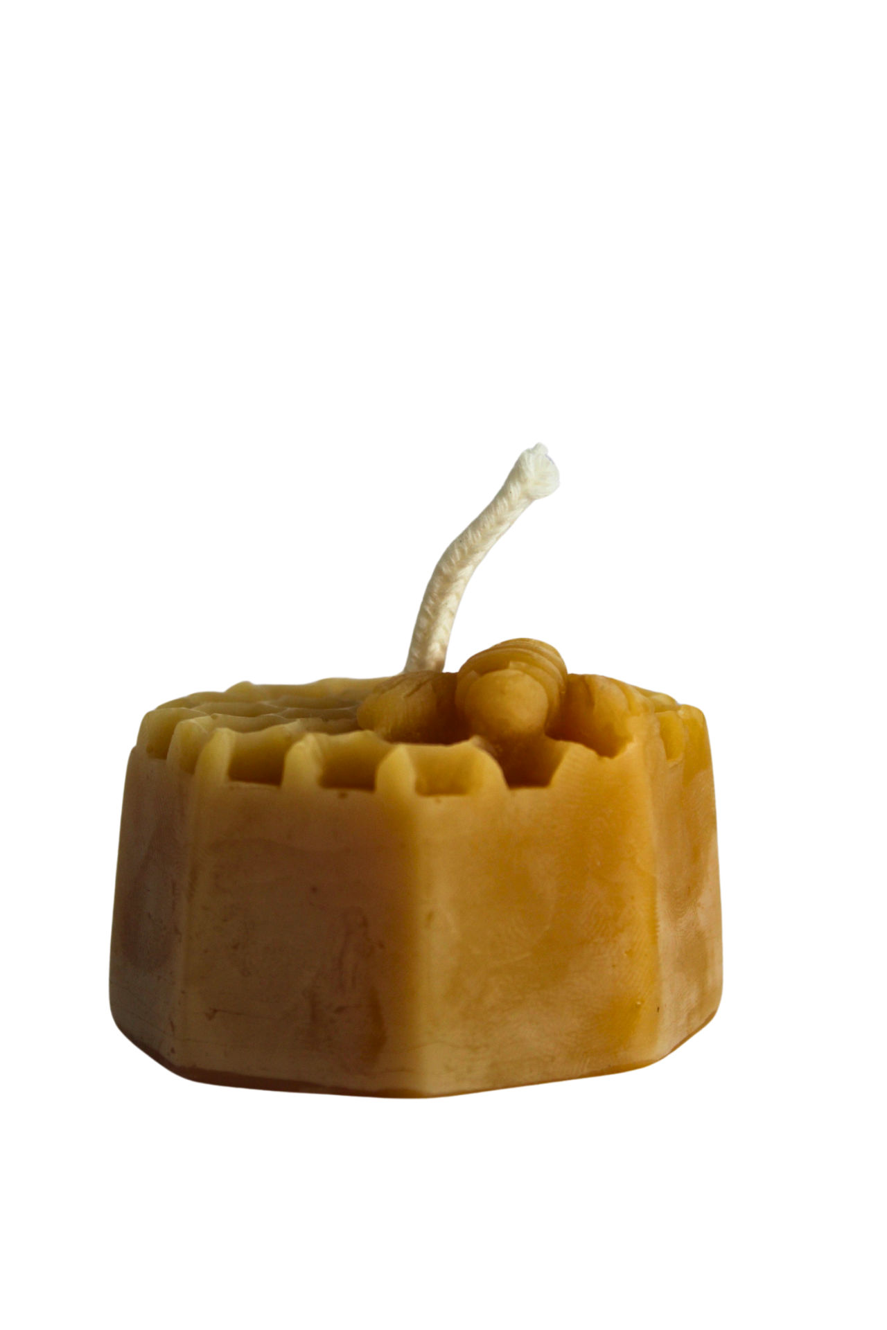 Beeswax Bee on Honeycomb