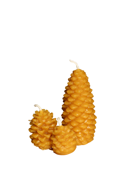 Pine Cone Set