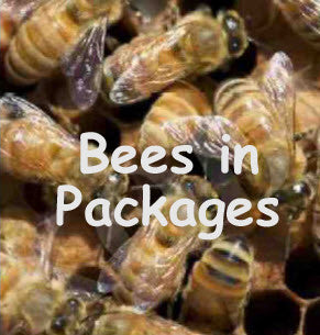 Bees in Packages: Pick-up Santa Clarita