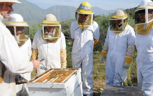 Beekeeping Class 101 - Class #4: Hive Management