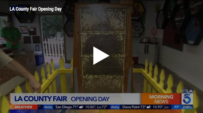 KTLA5's Chris Burrous Chats With Clyde Steese at the LA County Fair Bee Booth