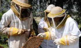 LACBA Beekeeping Class 101 at Bill's Bees Bee Farm