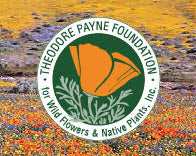 Bill's Bees Honey at the Theodore Payne Foundation